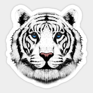 Kids White Tiger Head Big Cat Face For Kids Boys & Girls Sticker